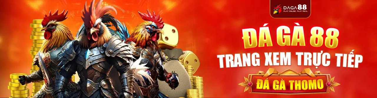 Đấu trường đá gà kịch tính tại km288b