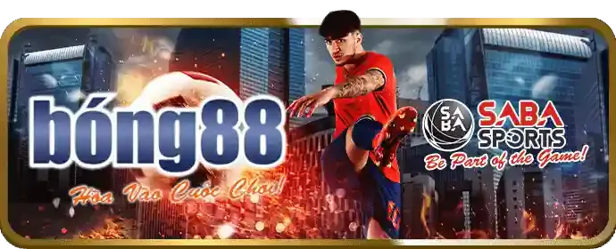 Hướng dẫn cá cược an toàn km288b